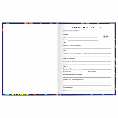 Дневник 1-11 класс 40 л., твердый, BRAUBERG, глянцевая ламинация, "Skateboarder", 106617 - Дневники универсальные