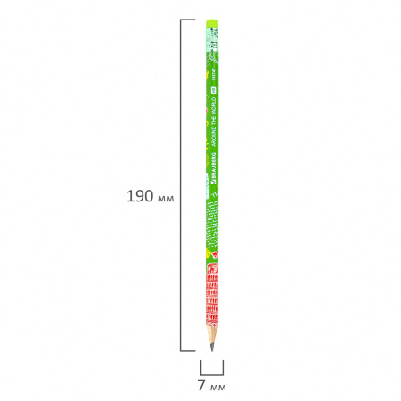 Карандаш чернографитный BRAUBERG "AROUND THE WORLD", 1 шт., HB, с ластиком, корпус ассорти, 181747 - Карандаши чернографитные