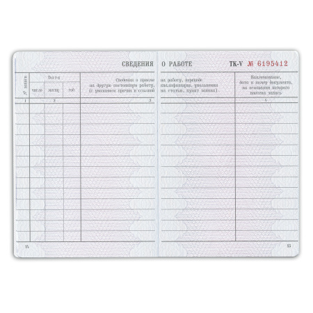 Бланк документа "Трудовая книжка", 88х125 мм, ГОЗНАК - Бланки документов
