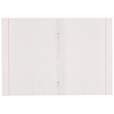 Тетрадь 18 л., ПИФАГОР, клетка, офсет №2 ЭКОНОМ, обложка плотная мелованная бумага, ОДНОТОННАЯ, 104549 - Тетради 12-24 листов