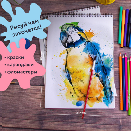 Альбомы для рисования А4 40 л., КОМПЛЕКТ 4 шт., гребень, обложка картон, BRAUBERG, 205х290 мм, "Природа" (2 вида), 880035 - Альбомы и папки для рисования