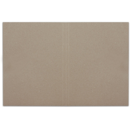 Папка без скоросшивателя "Дело", картон, плотность 300 г/м2, до 200 листов, BRAUBERG, 124571 - Папки "Дело" без скоросшивателя