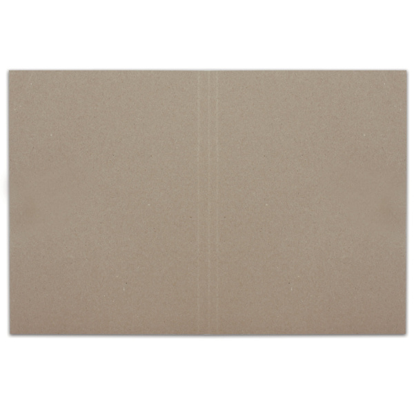 Папка без скоросшивателя "Дело", картон, плотность 300 г/м2, до 200 листов, BRAUBERG, 124571 - Папки "Дело" без скоросшивателя