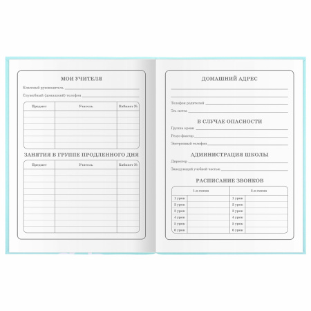 Дневник 1-4 класс 48 л., гибкая обложка, ЮНЛАНДИЯ, выборочный лак, с подсказом, "Little Princess", 106344 - Дневники для младших классов