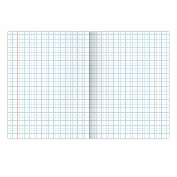 Тетради предметные, КОМПЛЕКТ 12 ПРЕДМЕТОВ, "КЛАССИКА NATURE", 48 л., обложка картон, BRAUBERG, 404605 - Тетради предметные