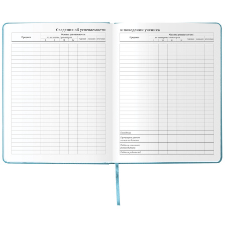 Дневник 1-11 класс 48 л., кожзам (твердая с поролоном), тиснение аппликация, BRAUBERG, "ДЖИП", 105977 - Дневники универсальные
