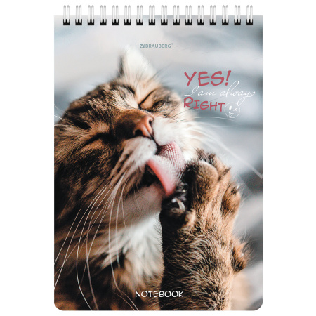 Блокнот А5 (146х206 мм), 80 л., гребень, картон, клетка, BRAUBERG, "Довольные коты", 114374 - Блокноты