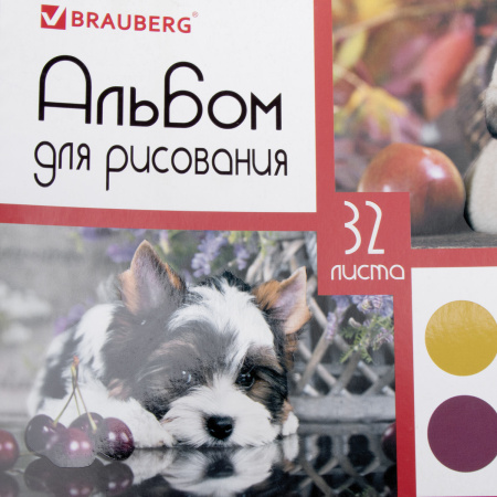 Альбом для рисования А4, 32 листа, гребень, выборочный лак, BRAUBERG, 205х290 мм, "Собачки" (1 вид), 105081 - Альбомы и папки для рисования