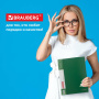 Папка 60 вкладышей BRAUBERG стандарт, зеленая, 0,8 мм, 228684 - Папки с вкладышами (файлами)
