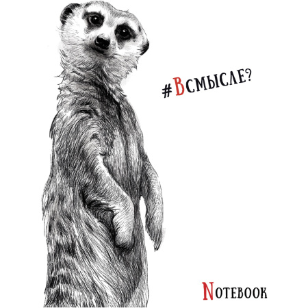 Тетрадь А5, 48 л., ПЗБМ, скоба, клетка, Soft Touch, выборочный лак, "Черно-белые звери" (5 видов), 027941 - Тетради 40-48 листов