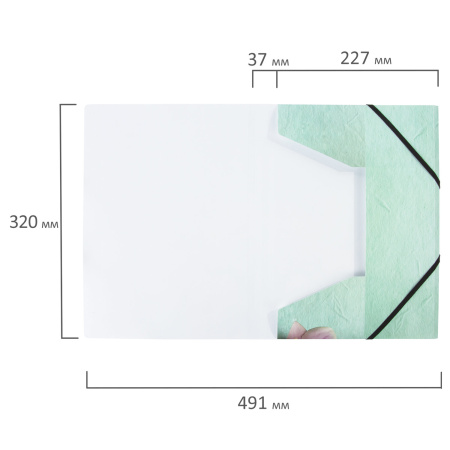 Папка на резинках BRAUBERG "FLOWER", А4, цветная печать, до 300 листов, 500 мкм, 228032 - Папки на резинках пластиковые