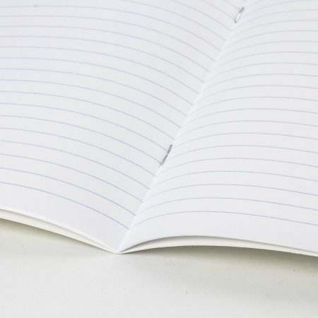 Тетрадь ЗЕЛЁНАЯ обложка 12 л., узкая линия с полями, офсет, "ПЗБМ", 19964 - Тетради 12-24 листов