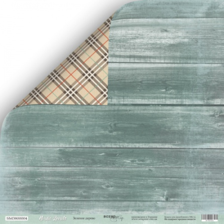 Лист двусторонней бумаги "Зелёное дерево" из коллекции "Nordic Spirits" 30*30 см от Scrapmir