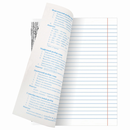 Тетради предметные, КОМПЛЕКТ 10 ПРЕДМЕТОВ, "КЛАССИКА XXI", 48 л., обложка картон, BRAUBERG, 404025 - Тетради предметные