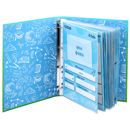 Папка-портфолио школьника "ОТЛИЧНИК", 4 кольца, 20 файлов, 10 вкладышей, 7БЦ матовая, BRAUBERG, 115240 - Портфолио