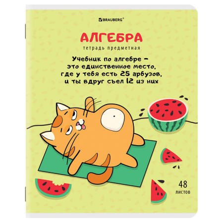 Тетради предметные, КОМПЛЕКТ 12 ПРЕДМЕТОВ, "КОТ-ЭНТУЗИАСТ", 48 л., TWIN-лак, BRAUBERG, 404609 - Тетради предметные