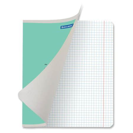 Тетрадь 12 л. BRAUBERG "КЛАССИКА NEW", клетка, обложка картон, АССОРТИ (5 видов), 105682 - Тетради 12-24 листов