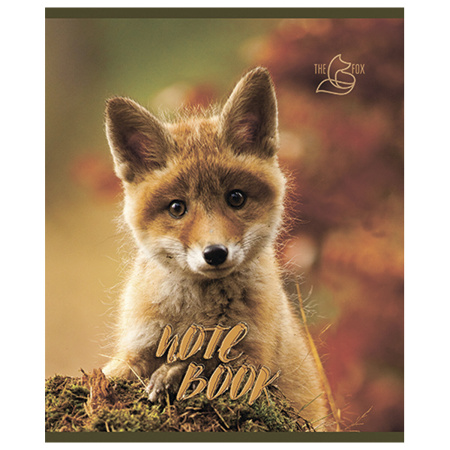 Тетрадь А5, 48 л., ПЗБМ, скоба, клетка, конгрев, глянцевый лак, "Хитрый лис" (5 видов), 028061 - Тетради 40-48 листов