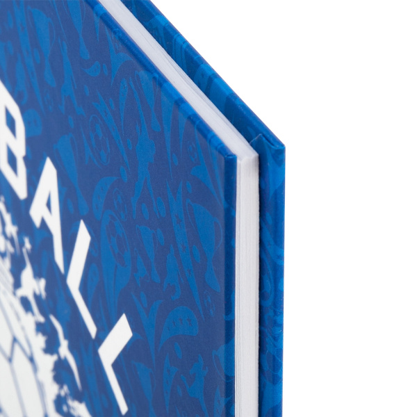 Дневник 5-11 класс 48 л., твердый, BRAUBERG, фольга, с подсказом, "Football", 106416 - Дневники для старших классов