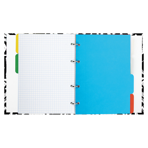Тетрадь на кольцах А5 (175х215 мм), 240 листов, твердый картон, клетка, с разделителями, BRAUBERG, Calligraphy,404097 - Тетради на кольцах и сменные блоки к ним
