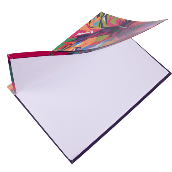 Дневник 5-11 класс 48 л., гибкая обложка, BRAUBERG, глянцевая ламинация, с подсказом, "Lion", 106386 - Дневники для старших классов