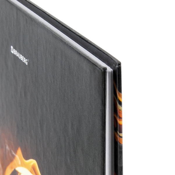 Дневник МП 1-11 класс 48 л., твердый, BRAUBERG, глянцевая ламинация, с подсказом, "Футбол", 106644 - Дневники универсальные