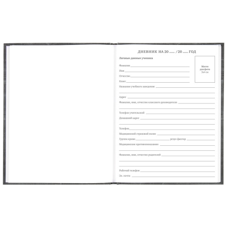 Дневник 5-11 класс 48 л., твердый, BRAUBERG, фольга, с подсказом, "Музыка", 106418 - Дневники для старших классов