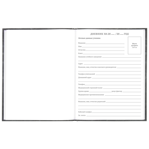 Дневник 5-11 класс 48 л., твердый, BRAUBERG, фольга, с подсказом, "Музыка", 106418 - Дневники для старших классов