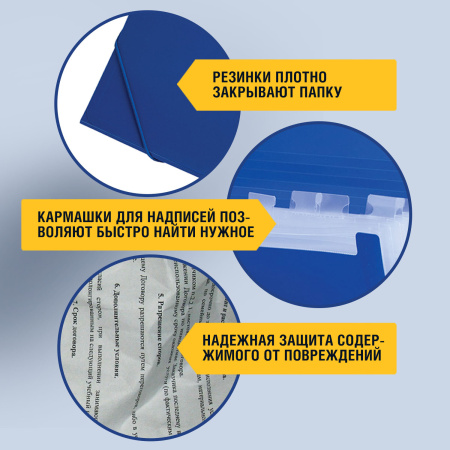 Папка на резинках BRAUBERG "Business", А4, 13 отделений, пластиковый индекс, синяя, 0,5 мм, 224146 - Папки пластиковые с отделениями