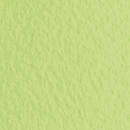 Бумага для пастели (1 лист) FABRIANO Tiziano А2+ (500х650 мм) 160 г/м2 салатовый теплый 52551011 - Альбомы и бумага для пастели