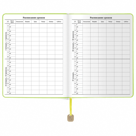 Дневник 1-11 класс 48 л., кожзам (гибкая), термотиснение, BRAUBERG "ORIGINAL", черный, 105967 - Дневники универсальные