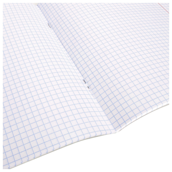 Тетрадь ЗЕЛЁНАЯ обложка 24 л., клетка с полями, офсет, "ПЗБМ", 19858 - Тетради 12-24 листов