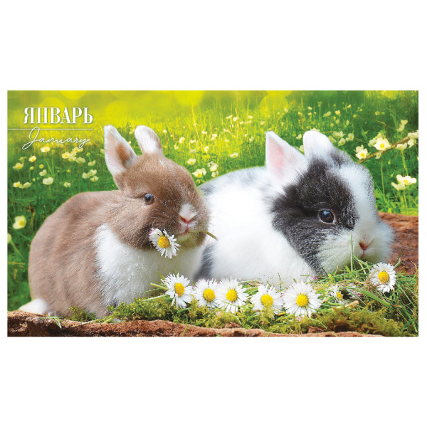 Календарь квартальный с бегунком 2023 г., 3 блока, 4 гребня, СуперЛюкс, "Год Кролика", HATBER, 3Кв4гр2ц_26235 - Календари настенные