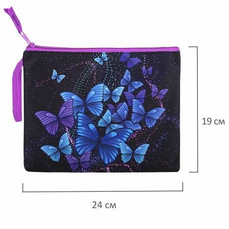 Папка для тетрадей BRAUBERG А5, 1 отделение, полиэстер, на молнии, с ручкой, "Fly Aways", 271499 - Папки для тетрадей и уроков труда