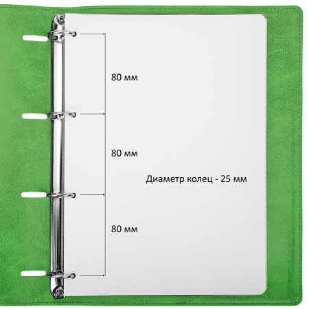Тетрадь на кольцах БОЛЬШАЯ А4 (240х310 мм), 120 листов, под кожу, клетка, BRAUBERG "Joy", зелёный/светло-зелёный, 404508 - Тетради на кольцах и сменные блоки к ним