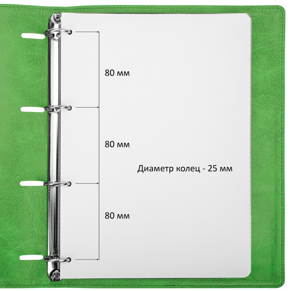 Тетрадь на кольцах БОЛЬШАЯ А4 (240х310 мм), 120 листов, под кожу, клетка, BRAUBERG "Joy", зелёный/светло-зелёный, 404508 - Тетради на кольцах и сменные блоки к ним