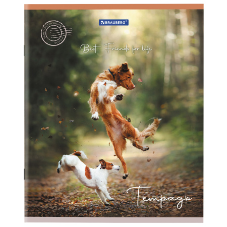 Тетрадь А5 48 л. BRAUBERG скоба, клетка, обложка картон, "Best Friends" (микс в спайке), 404360 - Тетради 40-48 листов