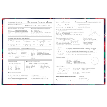 Дневник 5-11 класс 48 л., твердый, BRAUBERG, глянцевая ламинация, с подсказом, "Гранаты", 106621 - Дневники для старших классов