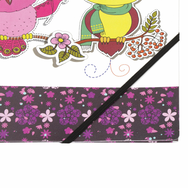 Папка на резинках ЮНЛАНДИЯ "Умные совы", А4, цветная печать, до 300 листов, 500 мкм, 228048 - Папки на резинках пластиковые