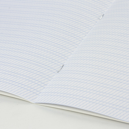 Тетрадь ЗЕЛЁНАЯ обложка 12 л., частая косая линия с полями, офсет, "ПЗБМ", 018244 - Тетради 12-24 листов