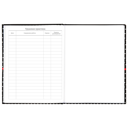 Дневник 5-11 класс 48 л., твердый, BRAUBERG, глянцевая ламинация, с подсказом, "Стиль", 106392 - Дневники для старших классов