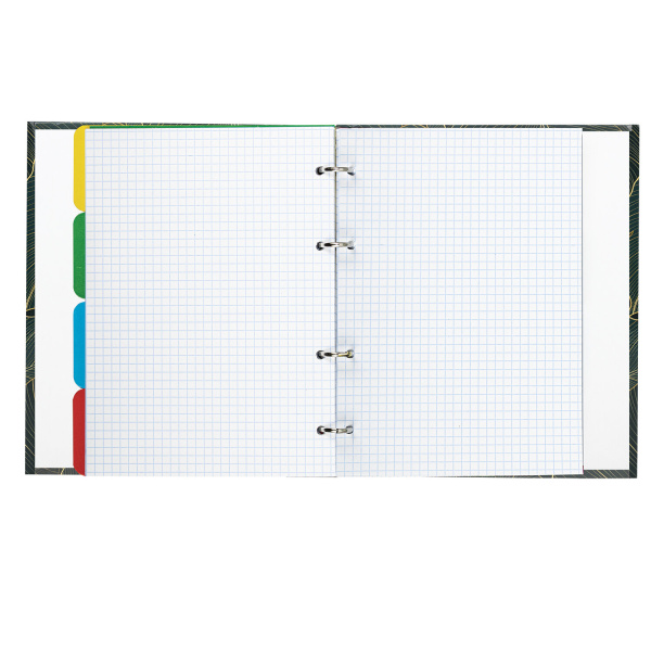 Тетрадь на кольцах А5 (175х215 мм), 240 листов, твердый картон, клетка, с разделителями, BRAUBERG, Листья, 404099 - Тетради на кольцах и сменные блоки к ним