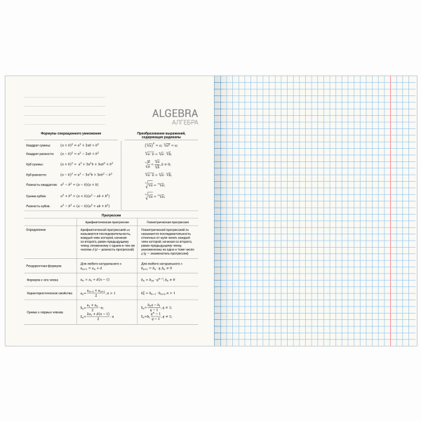 Тетради предметные, КОМПЛЕКТ 12 ПРЕДМЕТОВ, ПАСТЕЛЬНАЯ, 48 листов, обложка картон, BRAUBERG, 404026 - Тетради предметные