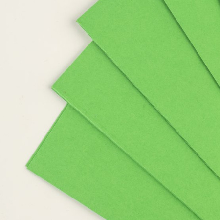 Набор цветного картона "Я-Художник!", 220 г/м2, А4, 1 цвет (зеленый), 10 листов - Цветная бумага