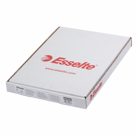 Папки-файлы перфорированные, А4, ESSELTE "Standard", комплект 100 шт., глянцевые, 55 мкм, 56066 - Папки перфорированные