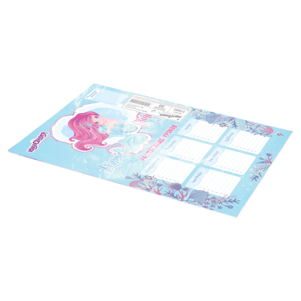 Расписание уроков и звонков А3, ЮНЛАНДИЯ, для девочек, ассорти (2 вида), 111652 - Расписание уроков