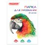 Папка для рисования БОЛЬШОГО ФОРМАТА А3, 40 л., 120 г/м2, ПИФАГОР, 297х420 мм, "Попугай", 129219 - Альбомы и папки для рисования