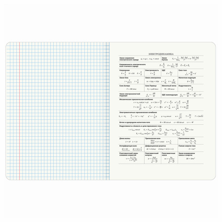 Тетрадь предметная "КОТ-ЭНТУЗИАСТ" 48 л., TWIN-лак, ФИЗИКА, клетка, подсказ, BRAUBERG, 404566 - Тетради предметные