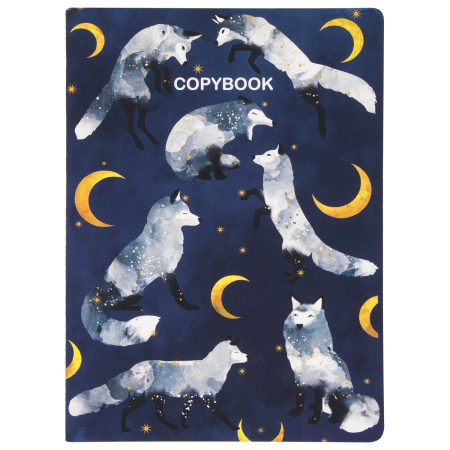 Тетради 60 л. в точку обложка SoftTouch, НАБОР 2 шт., бежевая бумага 70 г/м2, сшивка, B5 (179х250 мм), НОЧЬ, BRAUBERG, 403829 - Тетради более 60 листов