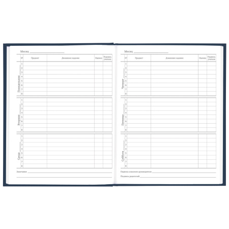 Дневник 5-11 класс 48 л., твердый, BRAUBERG, выборочный лак, с подсказом, "Футбол", 106636 - Дневники для старших классов